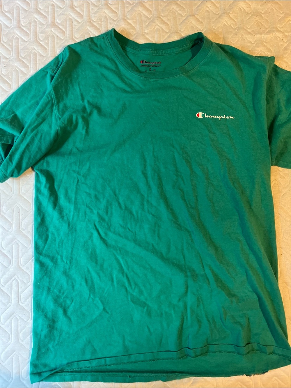 Champion Men's Green Crewneck T-Shirt with Small Logo